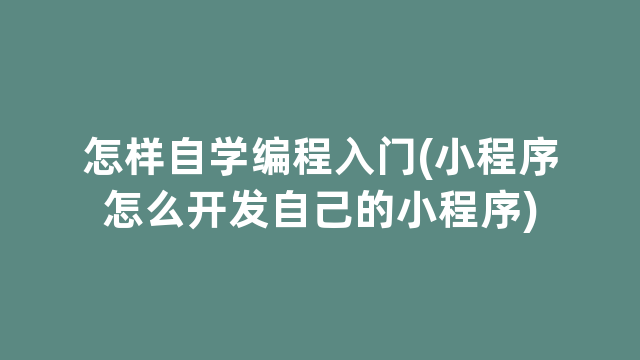 怎样自学编程入门(小程序怎么开发自己的小程序)