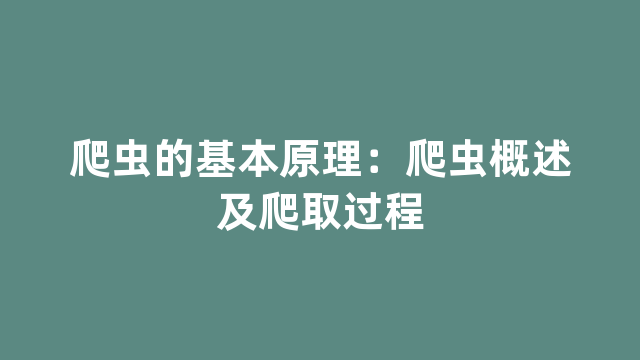 爬虫的基本原理：爬虫概述及爬取过程