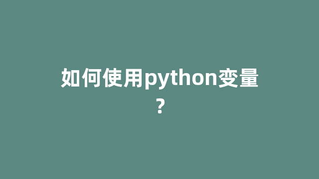 如何使用python变量？