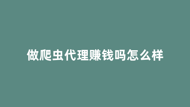 做爬虫代理赚钱吗怎么样