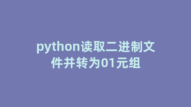 python读取二进制文件并转为01元组
