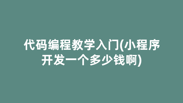 代码编程教学入门(小程序开发一个多少钱啊)