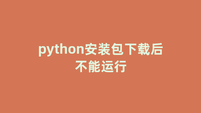 python安装包下载后不能运行