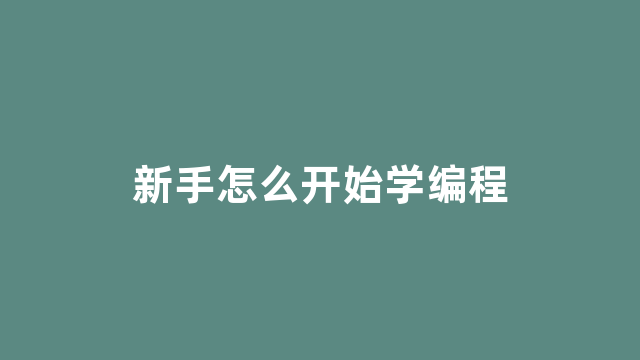 新手怎么开始学编程