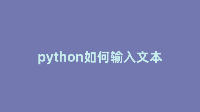 python如何输入文本