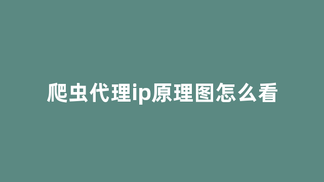 爬虫代理ip原理图怎么看 爬虫代理ip原理图怎么看