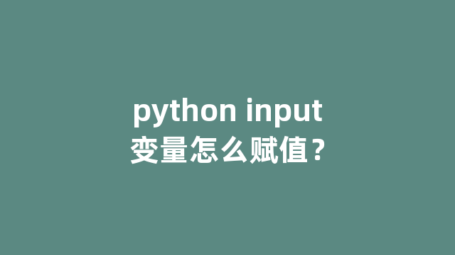 python input变量怎么赋值？