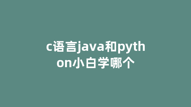 c语言java和python小白学哪个