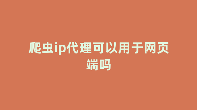 爬虫ip代理可以用于网页端吗