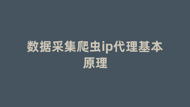 数据采集爬虫ip代理基本原理