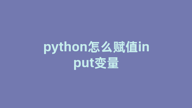 python怎么赋值input变量