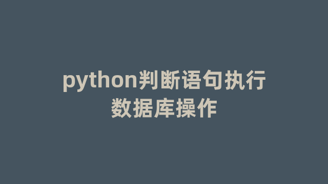 python判断语句执行数据库操作