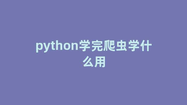 python学完爬虫学什么用