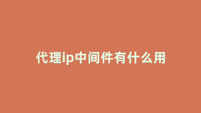 代理ip中间件有什么用