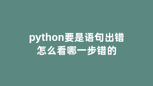 python要是语句出错怎么看哪一步错的