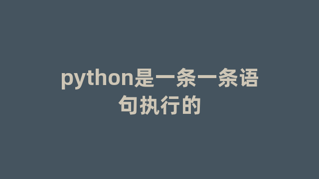 python是一条一条语句执行的
