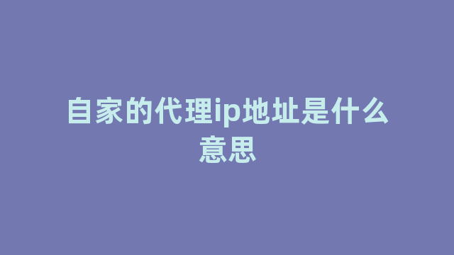 自家的代理ip地址是什么意思