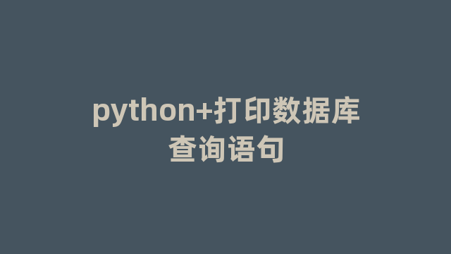 python+打印数据库查询语句