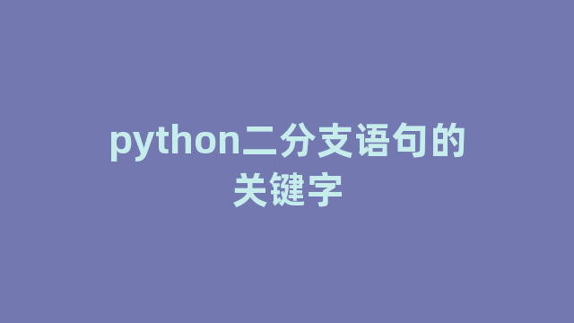 python二分支语句的关键字