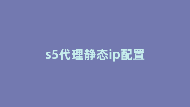 s5代理静态ip配置