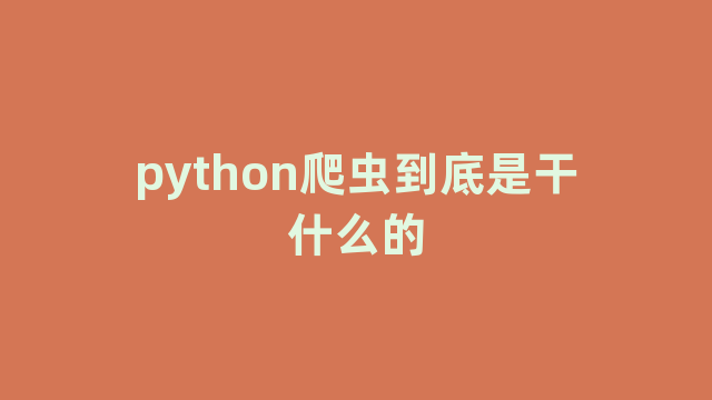 python爬虫到底是干什么的