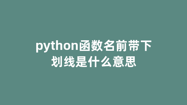 python函数名前带下划线是什么意思