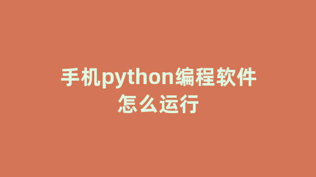 手机python编程软件怎么运行