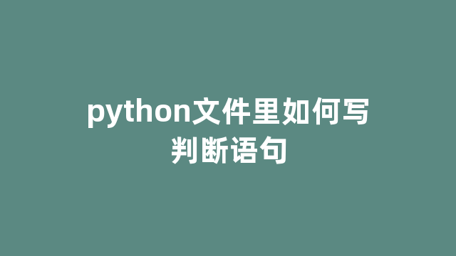 python文件里如何写判断语句