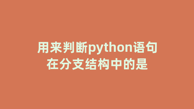 用来判断python语句在分支结构中的是