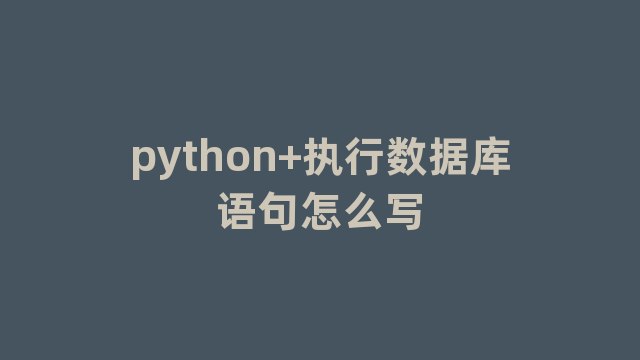 python+执行数据库语句怎么写
