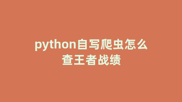 python自写爬虫怎么查王者战绩