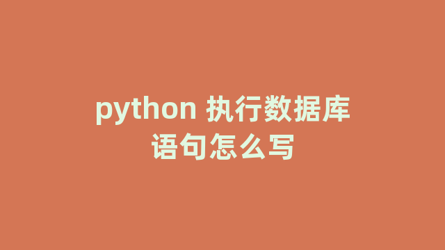 python 执行数据库语句怎么写