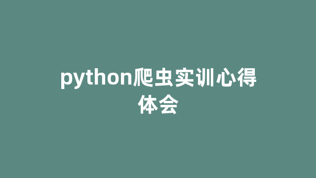 python爬虫实训心得体会