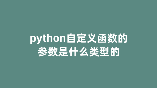 python自定义函数的参数是什么类型的