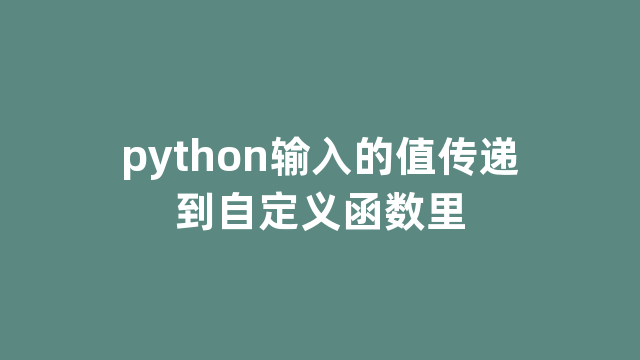 python输入的值传递到自定义函数里