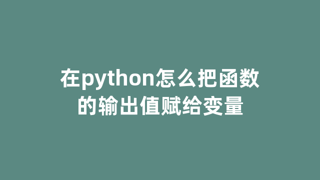 在python怎么把函数的输出值赋给变量