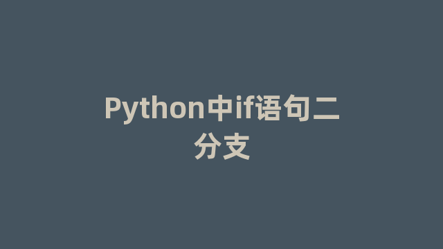 Python中if语句二分支