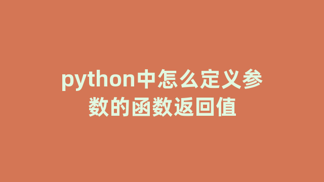 python中怎么定义参数的函数返回值