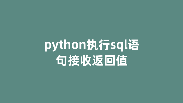 python执行sql语句接收返回值