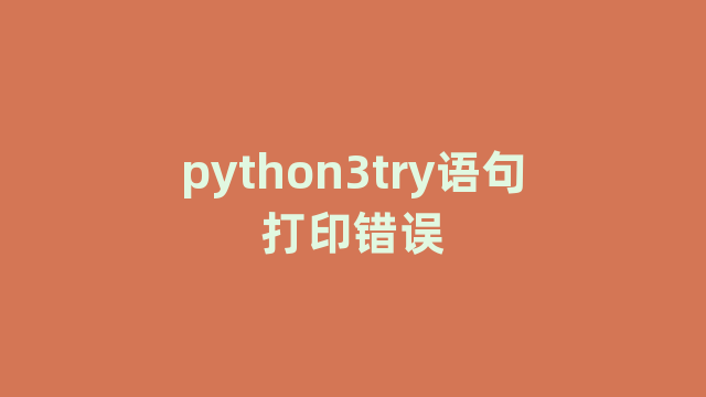 python3try语句打印错误