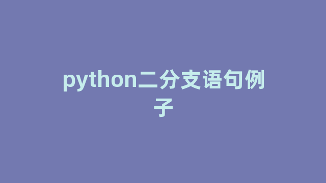 python二分支语句例子
