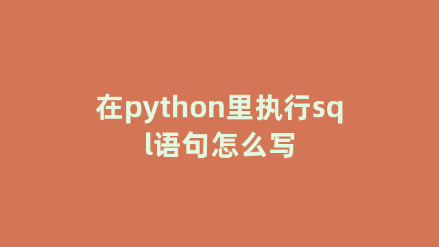 在python里执行sql语句怎么写