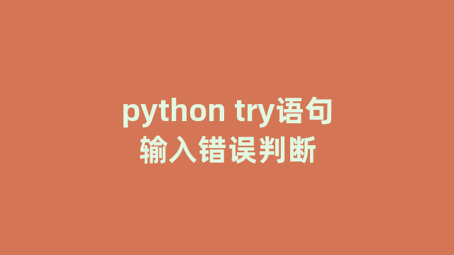 python try语句输入错误判断