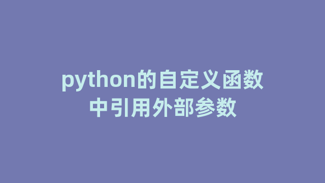 python的自定义函数中引用外部参数