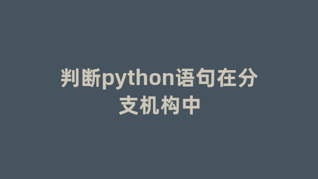 判断python语句在分支机构中