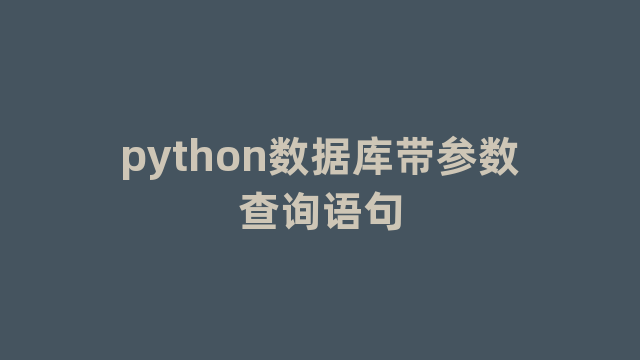 python数据库带参数查询语句