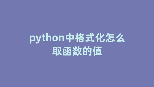 python中格式化怎么取函数的值