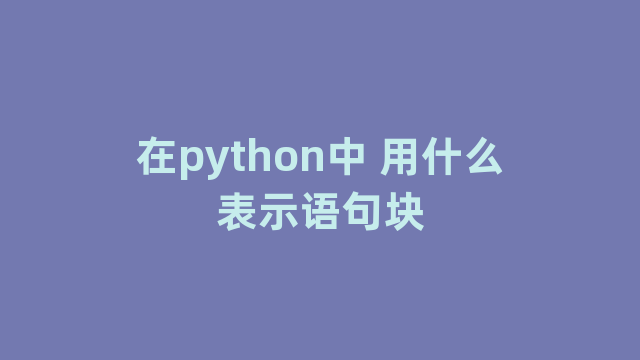 在python中 用什么表示语句块
