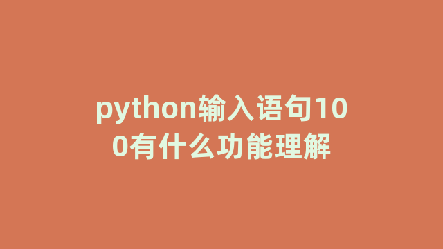 python输入语句100有什么功能理解