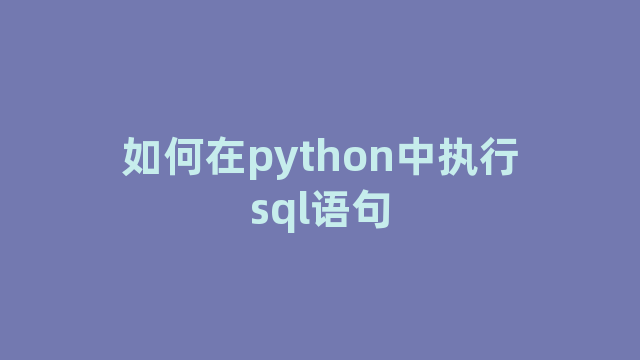 如何在python中执行sql语句